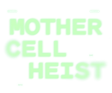 Mother Cell Heist